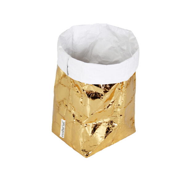 Sacchino F gold/white