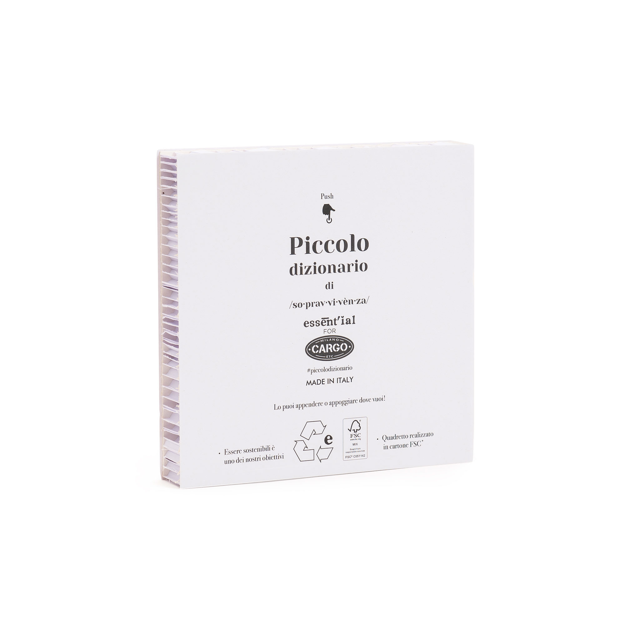 QUADRETTO PICCOLO DIZIONARIO