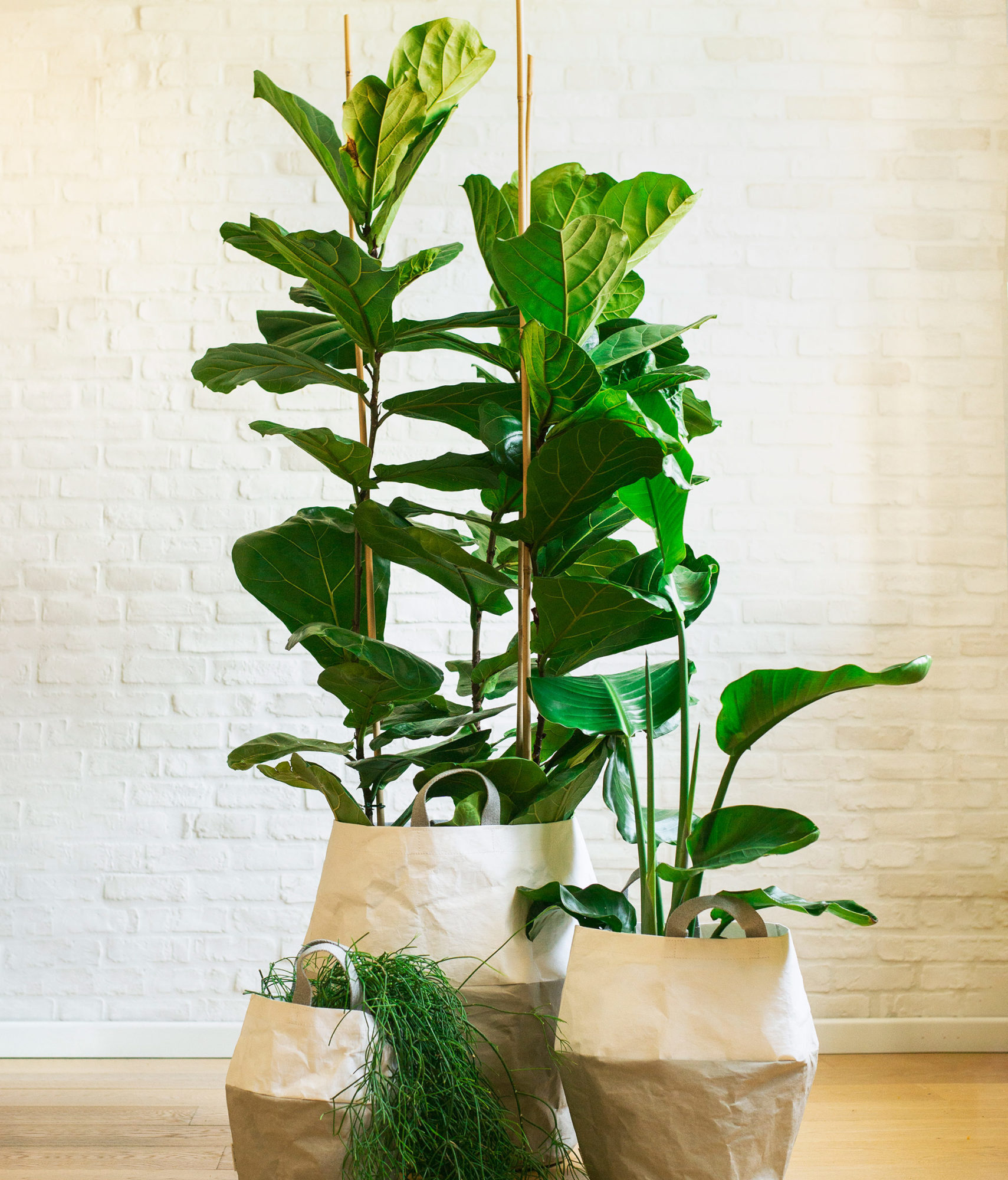 Basket Grigio/bianco