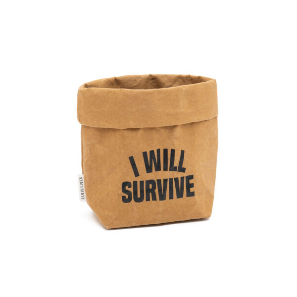 Sacchino F avana I will survive